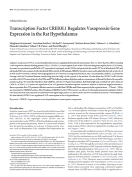 Transcription Factor CREB3L1 Regulates Vasopressin Gene Expression in the Rat Hypothalamus