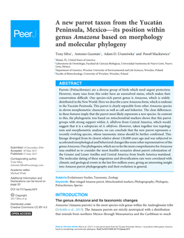 A New Parrot Taxon from the Yucatán Peninsula, Mexico—Its Position Within Genus Amazona Based on Morphology and Molecular Phylogeny