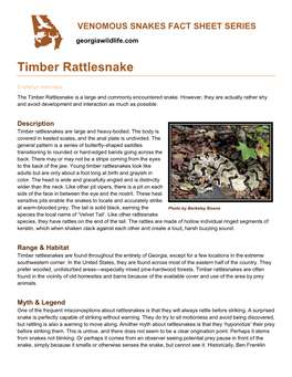 Timber Rattlesnake