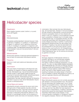 Helicobacter Species