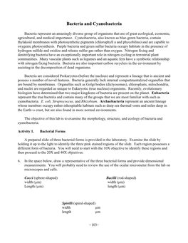 Bacteria and Cyanobacteria