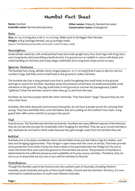 Numbat Fact Sheet Name: Numbat Other Names: Walpurti, Banded Ant-Eater Scientific Name: Myrmecobius Fasciatus Conservation Status: Endangered