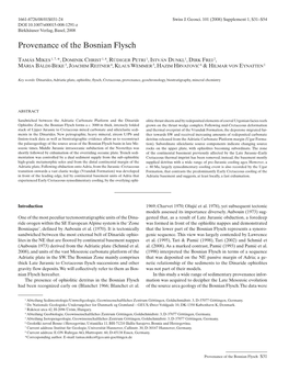 Provenance of the Bosnian Flysch