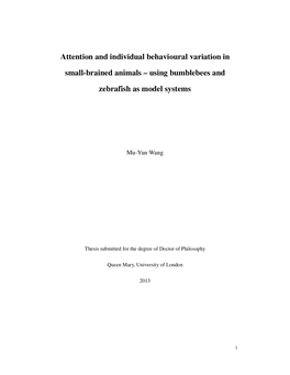 Attention and Individual Behavioural Variation in Small-Brained Animals – Using Bumblebees and Zebrafish As Model Systems