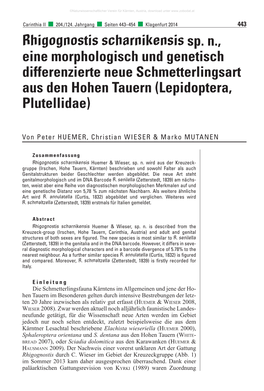 Rhigognostis Scharnikensis Sp. N., Eine Morphologisch Und Genetisch Differenzierte Neue Schmetterlingsart Aus Den Hohen Tauern (Lepidoptera, Plutellidae)