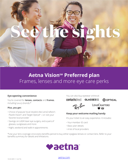 Vision Plan Flyer