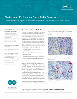 Rnascope® Probes for Stem Cells Research Get Probes for Your Gene of Interest Designed and Manufactured in Two Weeks