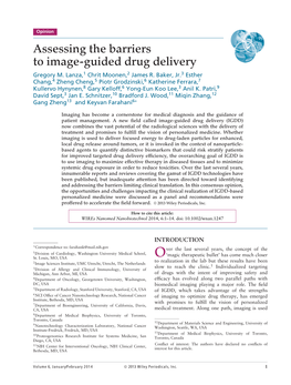 Assessing the Barriers to Imageguided Drug Delivery