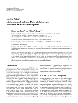 Review Article Molecular and Cellular Basis of Autosomal Recessive Primary Microcephaly