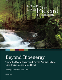 Beyond Bioenergy Toward a Clean Energy and Forest-Positive Future with Social Justice at Its Heart