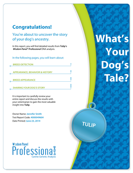 What's Your Dog's Tale?