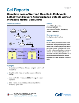 Complete Loss of Netrin-1 Results in Embryonic Lethality and Severe Axon Guidance Defects Without Increased Neural Cell Death