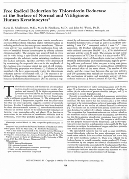 Free Radical Reduction by Thioredoxin Reductase at the Surface of Normal and Vitiliginous Human Keratinocytes*