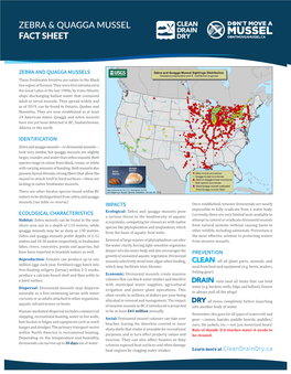 Zebra & Quagga Mussel Fact Sheet