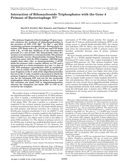 Interaction of Ribonucleoside Triphosphates with the Gene 4 Primase of Bacteriophage T7*