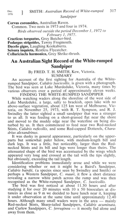 An Australian Sight Record of the White-Rumped Sandpiper by FRED
