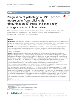 Progression of Pathology in PINK1-Deficient Mouse Brain From