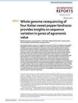 Whole Genome Resequencing of Four Italian Sweet Pepper Landraces Provides Insights on Sequence Variation in Genes of Agronomic V