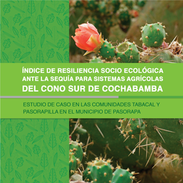 5820 Cartilla Resiliencia .Pdf