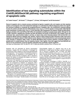 Identification of Two Signaling Submodules Within the Crkii/ELMO