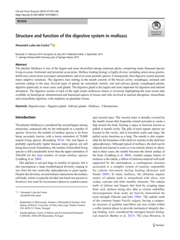 Structure and Function of the Digestive System in Molluscs