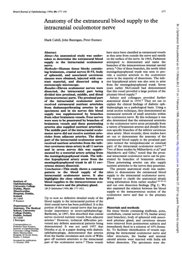 Anatomy of the Extraneural Blood Supply to the Intracranial