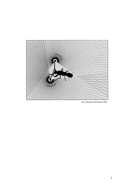 Female Mate Choice and Male Ornamentation in the Stalk-Eyed Fly, Diasemopsis Meigenii