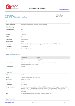 Anti-XPO4 / Exportin 4 Antibody (ARG59469)