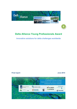 Final Report on the Delta Alliance Young Professionals Award Activity