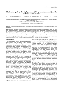 The Head Morphology of Ascioplaga Mimeta (Coleoptera: Archostemata) and the Phylogeny of Archostemata