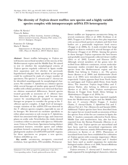 The Diversity of Terfezia Desert Truffles: New Species and a Highly Variable Species Complex with Intrasporocarpic Nrdna ITS Heterogeneity