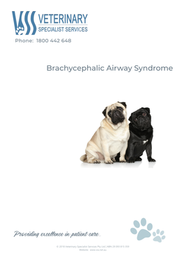 Brachycephalic Airway Syndrome