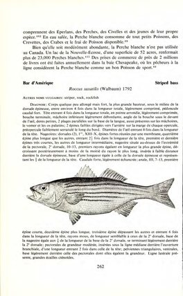 Poissons De La Cote Atlantique Du Canada 110180 12039370 C.1