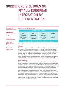 One Size Does Not Fit All: European Integration by Differentiation