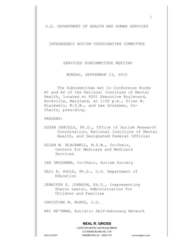 Transcript of the September 13, 2010 IACC Services Subcommittee Meeting
