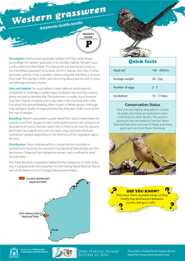 Western Grasswren Amytornis Textilis Textilis PRIORITY FAUNA P