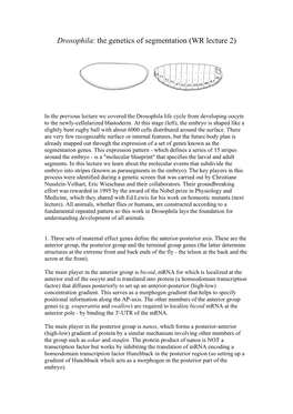 Drosophila: the Genetics of Segmentation (WR Lecture 2)