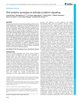 Wnt Proteins Synergize to Activate Β-Catenin Signaling Anshula Alok1, Zhengdeng Lei1,2,*, N