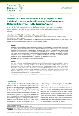 Description of Pudica Wandiquei N. Sp. (Heligmonellidae: Pudicinae)