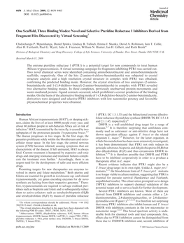 One Scaffold, Three Binding Modes: Novel and Selective Pteridine Reductase 1 Inhibitors Derived from Fragment Hits Discovered by Virtual Screening†