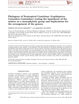 Phylogeny of Neotropical Castniinae (Lepidoptera: Cossoidea: Castniidae)