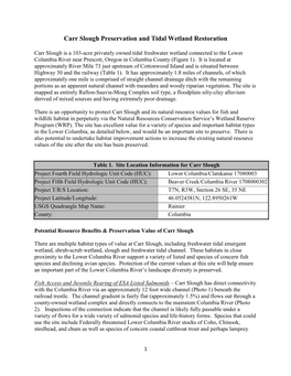 Carr Slough Preservation and Tidal Wetland Restoration