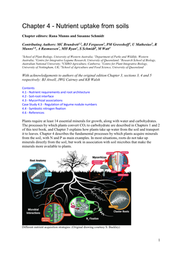 Nutrient Uptake from Soils