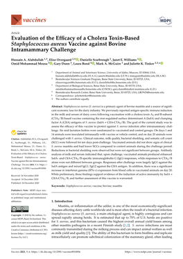 Evaluation of the Efficacy of a Cholera Toxin-Based Staphylococcus