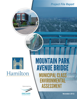 Mountain Park Avenue Bridge Municipal Class Environmental Assessment