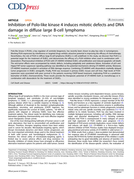 Inhibition of Polo-Like Kinase 4 Induces Mitotic Defects and DNA Damage in Diffuse Large B-Cell Lymphoma