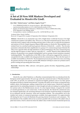 A Set of 20 New SSR Markers Developed and Evaluated in Mandevilla Lindl