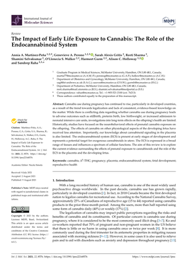 The Role of the Endocannabinoid System