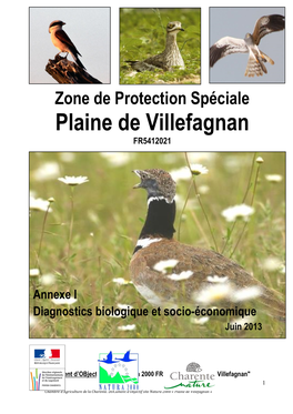 Plaine De Villefagnan