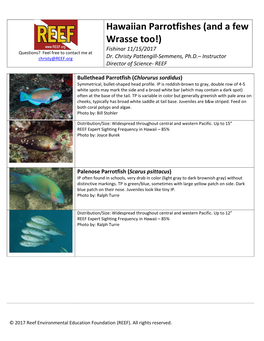 Hawaiian Parrotfishes (And a Few Wrasse Too!) Fishinar 11/15/2017 Questions? Feel Free to Contact Me at Christy@REEF.Org Dr